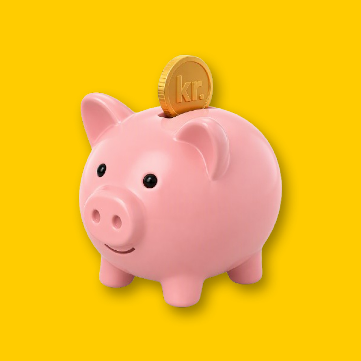 Finansiering og leasing